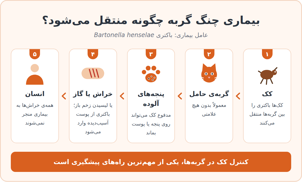 بیماری چنگ گربه