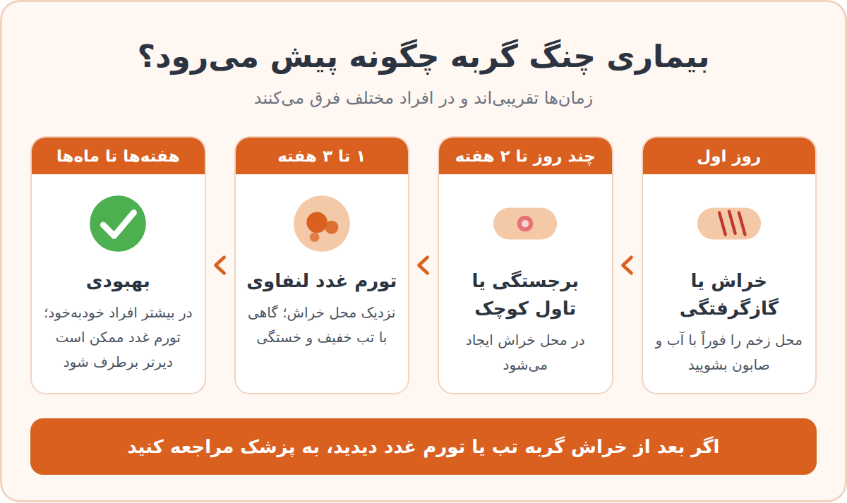 بیماری چنگ گربه