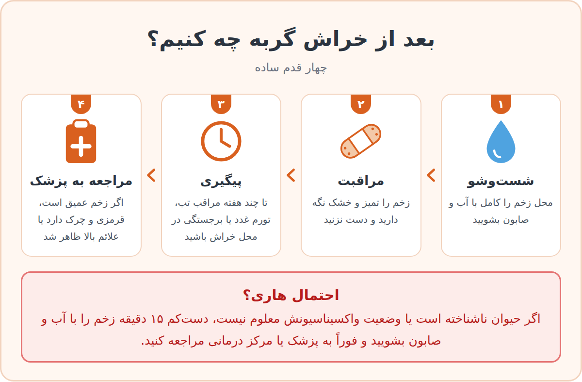 بیماری چنگ گربه